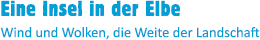 Eine Insel in der Elbe 